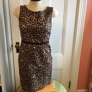 LOFT Leopard Print Fitted Dress